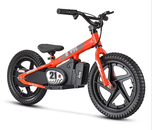 300W 16 INCH KIDS ELECTRIC BALANCE BIKE 48V