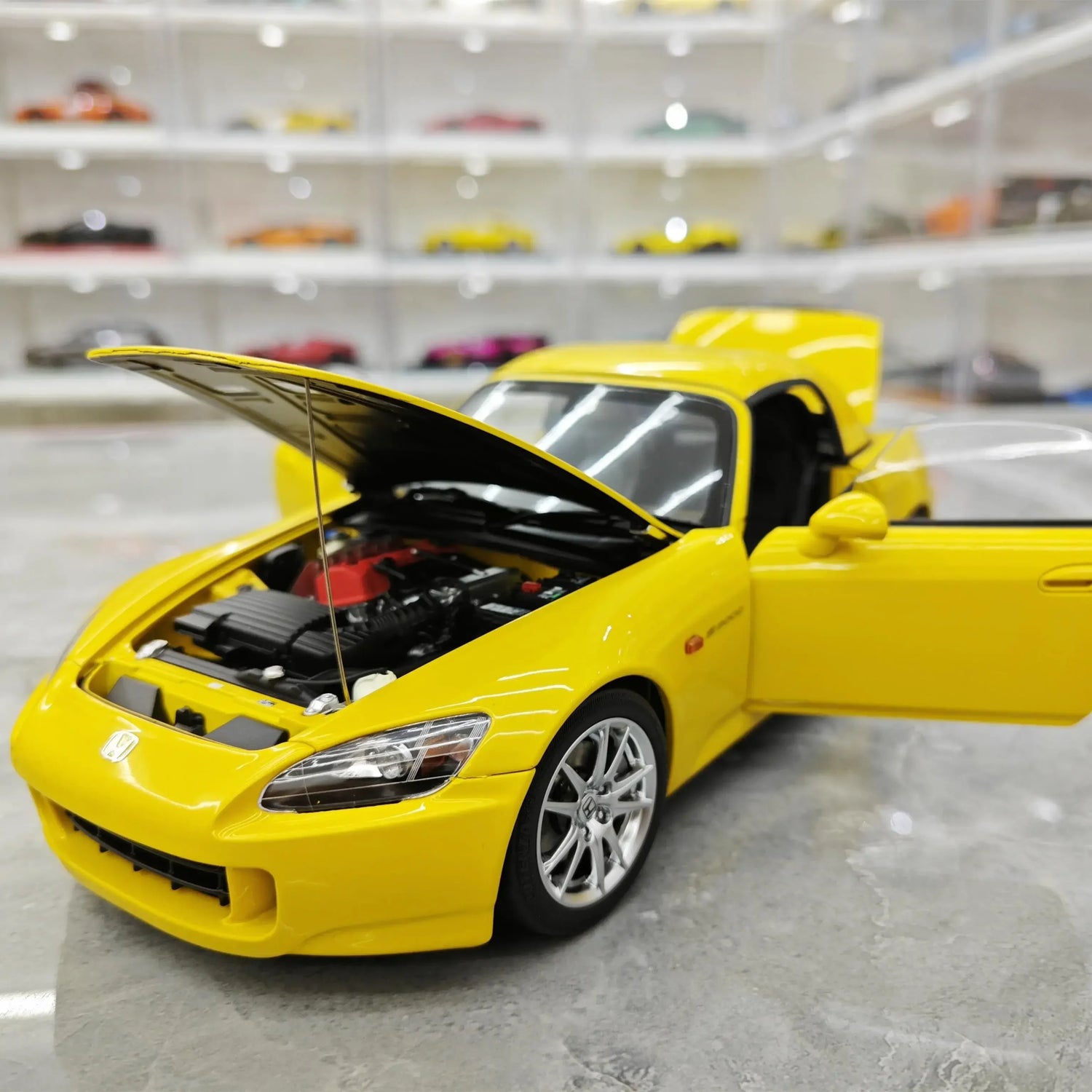 Authentic Collectables
