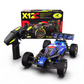 90KM/H PROFESSIONAL HOBBY RC BUGGY