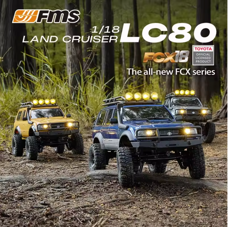 Professional RC Car 1:18 Scale Landcruiser Brushless