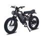 1500W ELECTRIC BIKE 48V